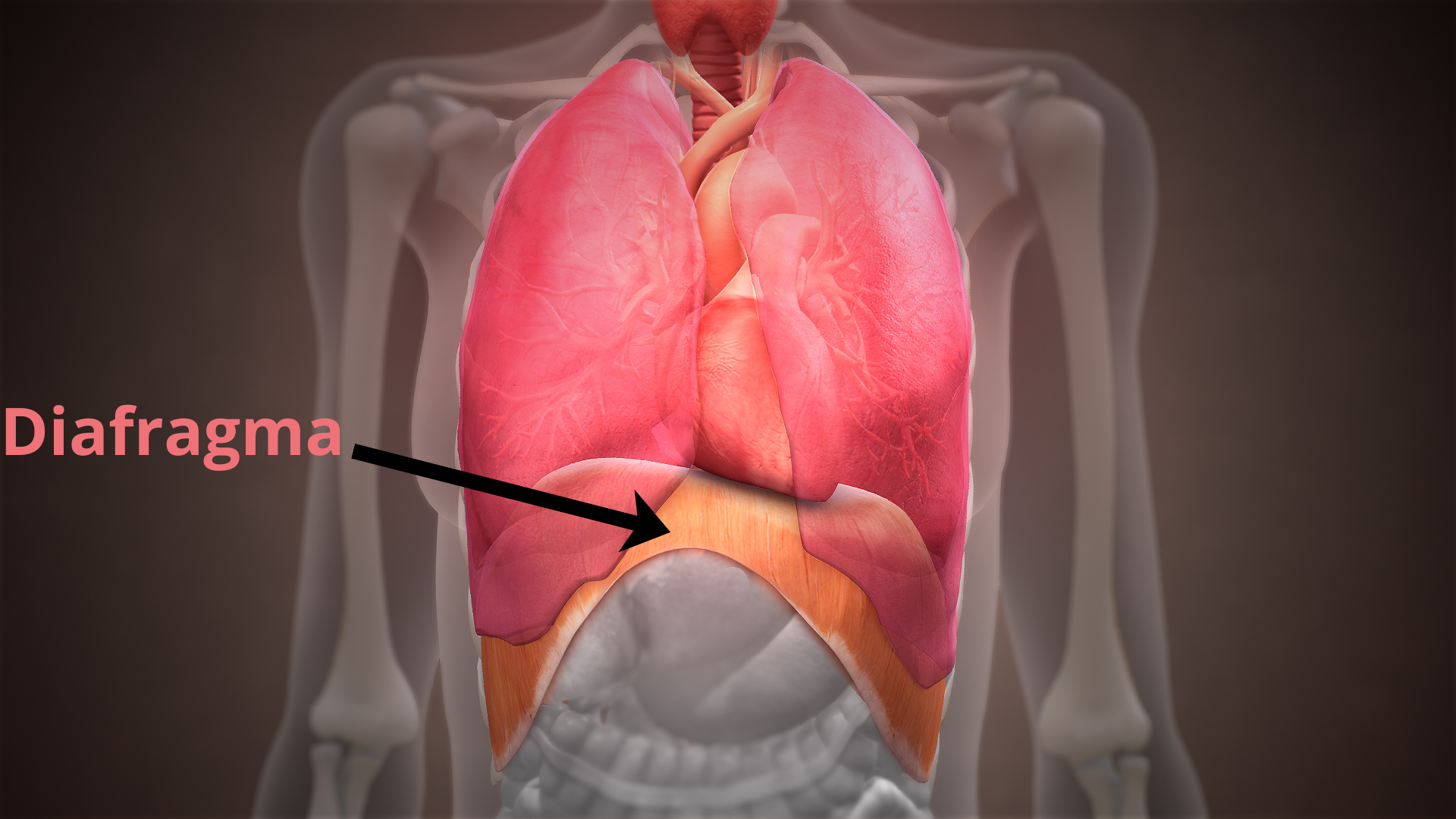 ¿Por qué se Produce el Hipo? Conoce sus Secretos.
